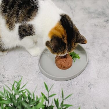 Миска для котів [Колекція Nala] - Плоска миска для їжі | Широка силіконова миска | Миска для котів | Силіконова тарілка для котячого корму (сірий камінь)