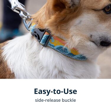 Нашийник для собак RUFFWEAR Crag, середній, з алюмінієвим кільцем V-Ring, регульований, 36-51 см, колір Midnight Wave