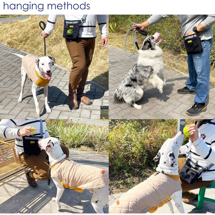 Сумка для ласощів для собак, багатофункціональна сумка для прогулянок з силіконовим кишеньком, мішок для корму для дресирування собак та дозатор ласощів, ідеальна для активного відпочинку на природі (Чорний, 4 відділення)