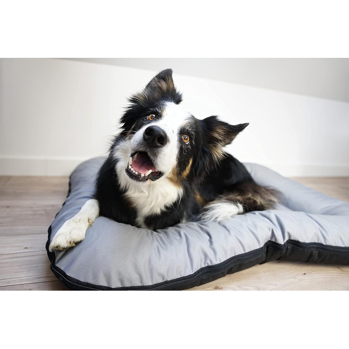 Ліжко для собак середніх порід 4L Textil KLEO, 90x70 см, бежеве, з блискавкою. Також: килимок, матрац, подушка для собак. Розміри: 80x60x10 см (сірий, з блискавкою)