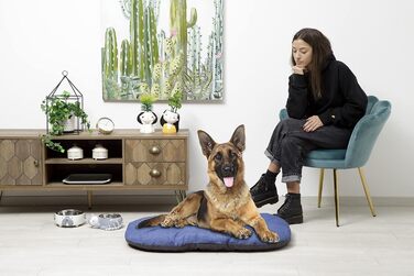 Килимок для собак та котів Baroni Hoe, 47x70x8 см - Doubleface (Сірий та блакитний, XL)