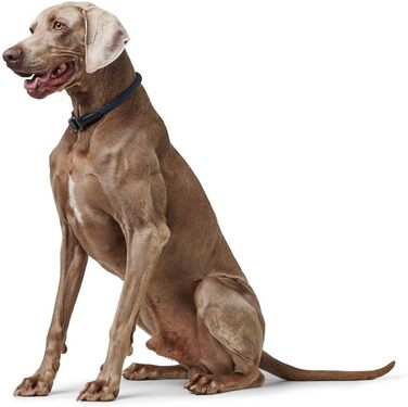 HUNTER Halsung Dressur FREESTYLE EIBY, блакитний, регульований, м'який матеріал, з зупинкою тяги, міцний та довговічний, для тренувань та прогулянок у будь-яку погоду, розмір M-L