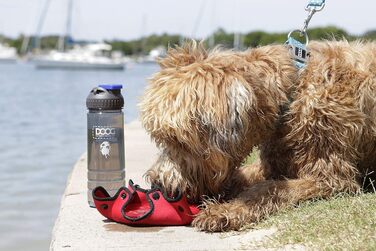 DOOG - Набір для прогулянок з собакою 3-в-1: пляшка для води, ізолятор та миска – блакитний, 8,5 x 3 x 3 см