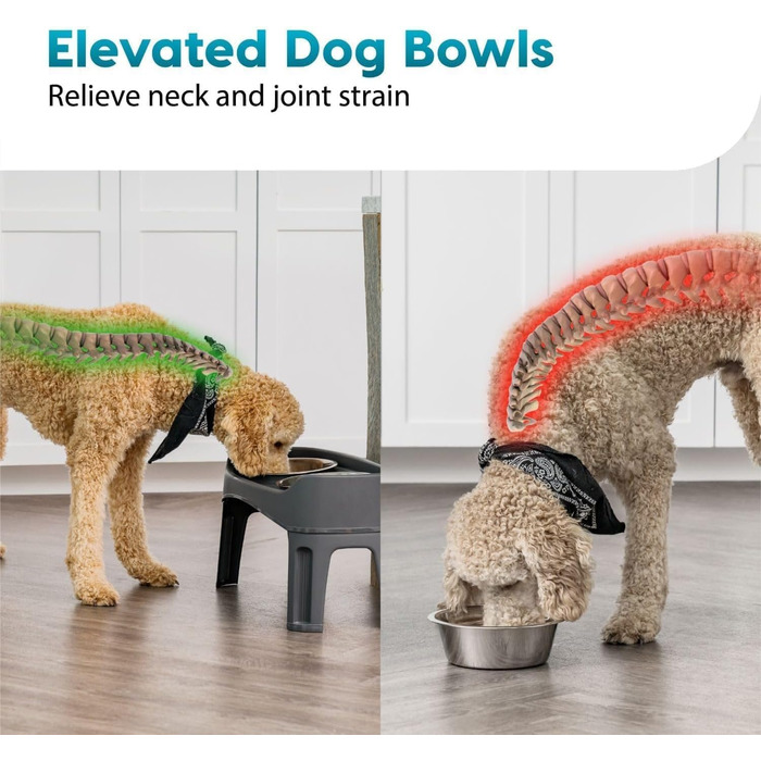 Набір з 2 підіймальних мисок для собак Iris Ohyama PEF-L, сірий, L29 x B57 x H31 см