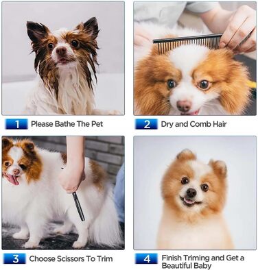 Набір професійних ножиць для собак та котів, нержавіюча сталь, безпечні кінчики, ножиці для фінальної обробки, гребінець для грумінгу