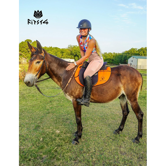 Легінси для їзди верхи FitT4 Reitlegging для жінок та дівчаток з силіконовими вставками, кишенею для телефону та петлями для ременя. Ідеально для верхової їзди та тренувань коней (Небесно-рожевий, S)