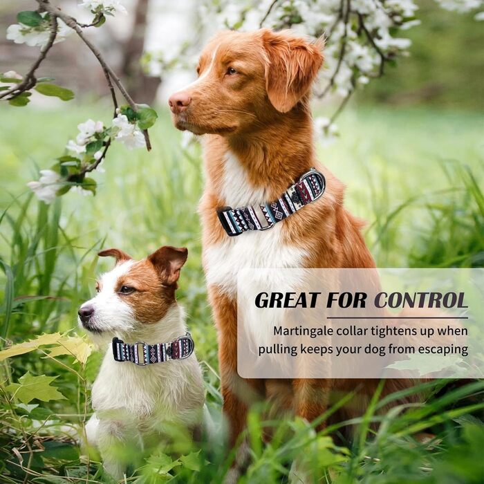 Нашийник для собак Hikiko Martingale, класичний, для малих, середніх та великих собак, міцний, надійний, розмір L