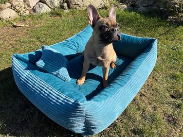 М'яке ліжко для собак 4L Textil Molly, корзина для собак, середні породи, 100x80 см, колір: бірюзовий