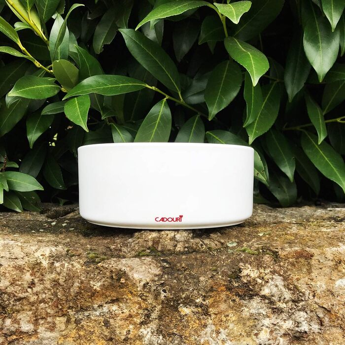 Керамічна годівниця для собак Cadouri - 1.300 мл