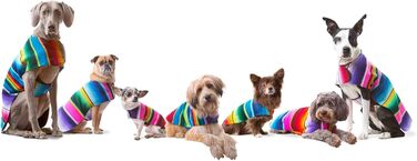 Пончо для собак ручної роботи Cinco De Mayo, автентична мексиканська ковдра, костюм для чихуахуа, рожевий, XXS