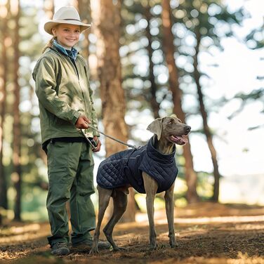 Зимовий теплий одяг для собак - Вітростійка жилетка-світловідбивач для собак, теплий зимовий одяг для собак | Для активного відпочинку: походи, пікніки, кемпінг, катання на лижах, прогулянки містом (Темно-синій)