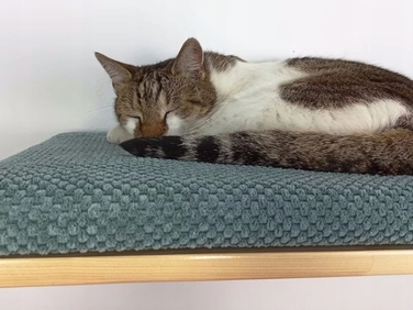 Настінна полиця для котів Cat's Atelier Cozy Nook, 60x37x6 см, натуральна