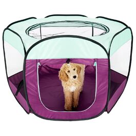 розмір: екстра-великий