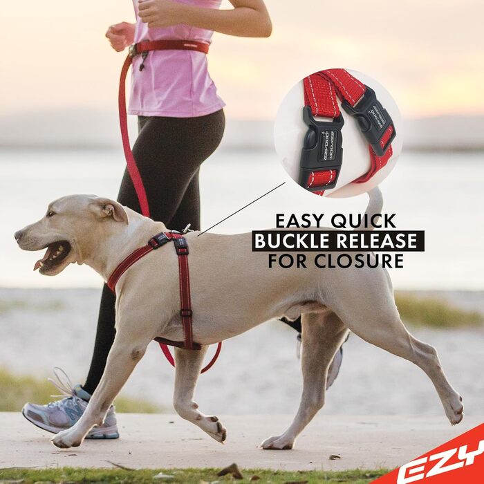 Шлея для собак EzyDog Cord, розмір M, 45–73 см, 10–19 кг