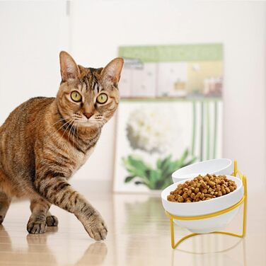 Підвищений годівниця для котів XIKAYA, нахилений на 15°, подвійний, зменшує навантаження на шийні хребти, запобігає розливанню, для котів та кошечок