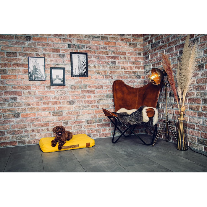 Ортопедичне ліжко для собак Roth & Bock з м'якої піни, сертифіковане Oeko-Tex Standard 100, покриття з водонепроникного канвасу, жовте, розмір S