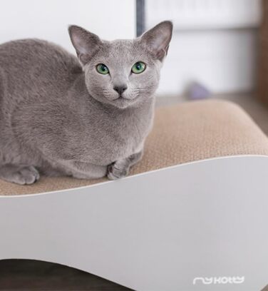 Котячий будиночок myKotty VIGO – міцний когтетоп для котів – ідеально для ігор, відпочинку та заточування кігтів – безпечний та нетоксичний – 71x21x25 см – сірий