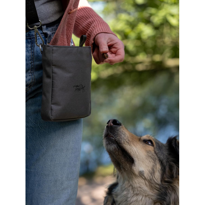 TrendPet Сумка для ласощів для собак, 3 кольори (сірий)