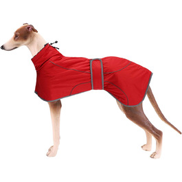 колір: гниль