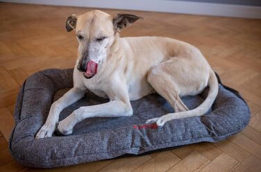 iEnergy GIS: Лежанка для собак на відкритому повітрі, зручна для відпочинку, ідеальна для саду, кемпінгу, подорожей та прогулянок