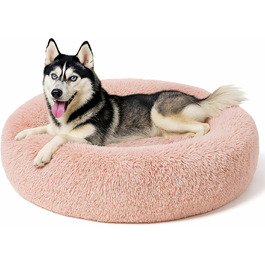 колір: рожевуватий, пилюка