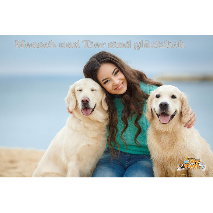 Загорожа для цуценят MYPETS, 8 секцій, 80x60 см, манеж для собак, металевий вольєр для молодих собак
