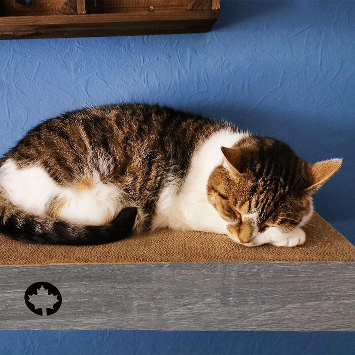 CanadianCat Company Котяча стінка Catwalk із 3 когтеточок з прихованим настінним кріпленням Cloud, темно-сіра, 70x30x8 см, ігровий комплекс для котів