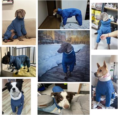 Теплий зимовий халат для собак з високим коміром, фліс, для маленьких, середніх та великих собак, блакитний
