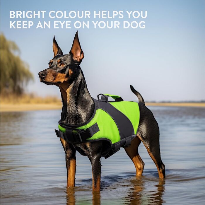 Жилет для собак, зелений, розмір M, колір лаймовий