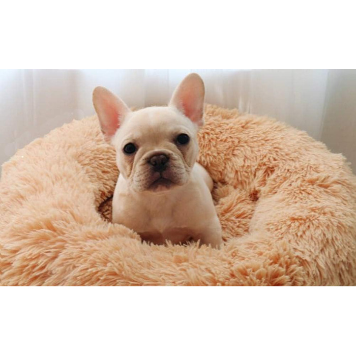 Розкішне собаче ліжко з м'якого хутра, машинне прання, самонагріваюче, з м'яким подуванням для середніх та великих собак та котів (XXXL: 120 см, світло-коричневе)