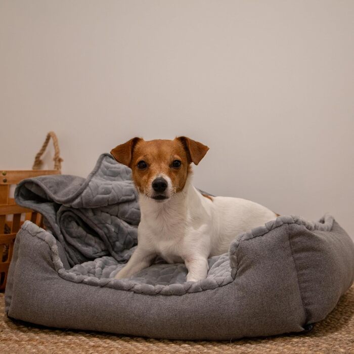 Крісло-ліжко для собак Ancol – зручна підстилка для дому, 60 x 50 см