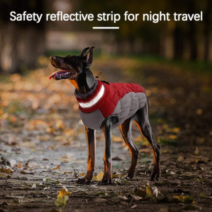 Зимова куртка для собак, тепла, водонепроникна, вітронепроникна, з флісу, для прогулянок та походів, XS, червона