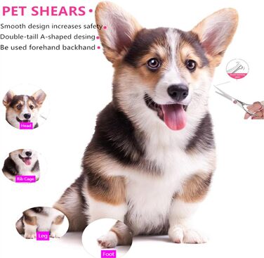 Ножиці для собак, вигнуті, професійні, з нержавіючої сталі, для грумінгу собак та котів