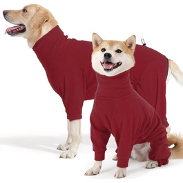 колір: гниль