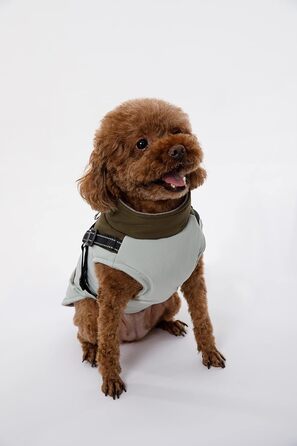 Водонепроникний теплий зимовий одяг для собак: куртка, жилет, плащ для маленьких та середніх порід, зелений