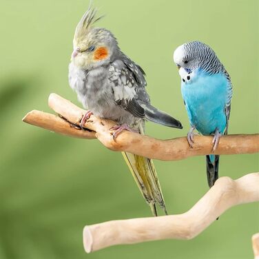 Натуральні гілки-стійки для птахів Allazone (5 шт.) - іграшки для папуг та інших птахів