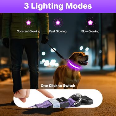 Світловідбиваючий нашийник для собак ASBRILL з USB-C, LED нашийник для собак, регульований, водонепроникний, 3 режими світіння, для малих, середніх та великих собак (L, фіолетовий)