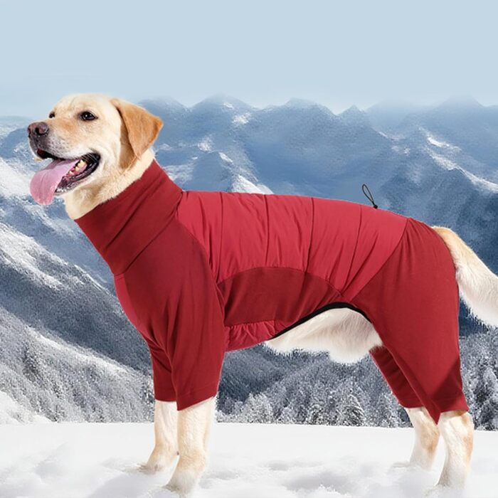 Зимовий одяг для собак: теплий водонепроникний куртка з високим коміром для маленьких, середніх та великих собак (червоний L)