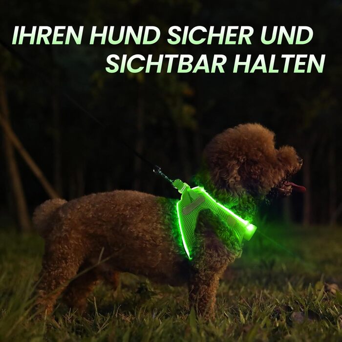 Світловідбиваючий нашийник для собак PcEoTllar з LED підсвічуванням (3 режими), зелений, для маленьких та середніх собак