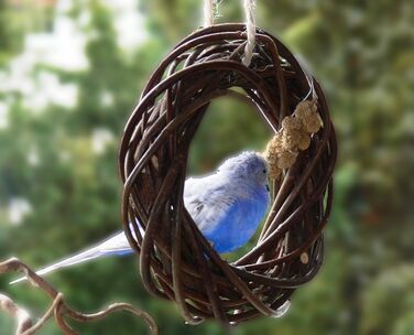 Дерев'яний іграшковий кілечко з лози для птахів (волинки, корели та ін.); Vogelgaleria®