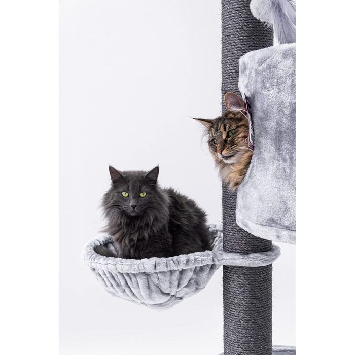 Дряпка для котів Petrebels Charlotte 180 см, преміум-якість, з гамаком, товсті стовпи Ø12 см, сіра