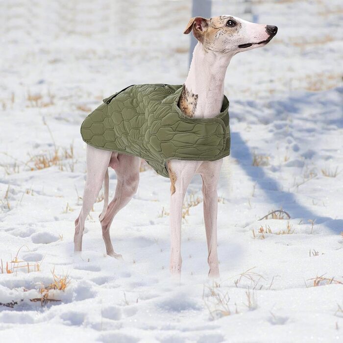 Зимовий теплий одяг для собак: тепла жилетка та куртка для будь-якої породи | Браун
