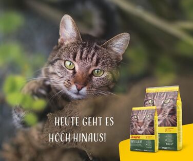 Сухий корм для котів JOSERA NatureCat з лососем та птицею, 10 кг