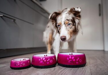 Миска для собак велика та маленька - годівниця/поїлка S/M/L з неслизьким дном (M 1010мл для середніх собак, рожева) M 1010мл (середні собаки) Рожева