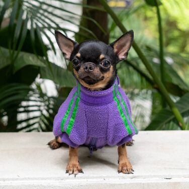 Флісова куртка для собак, тепла зимова куртка з блискавкою для маленьких цуценят, фіолетовий колір, розмір XS