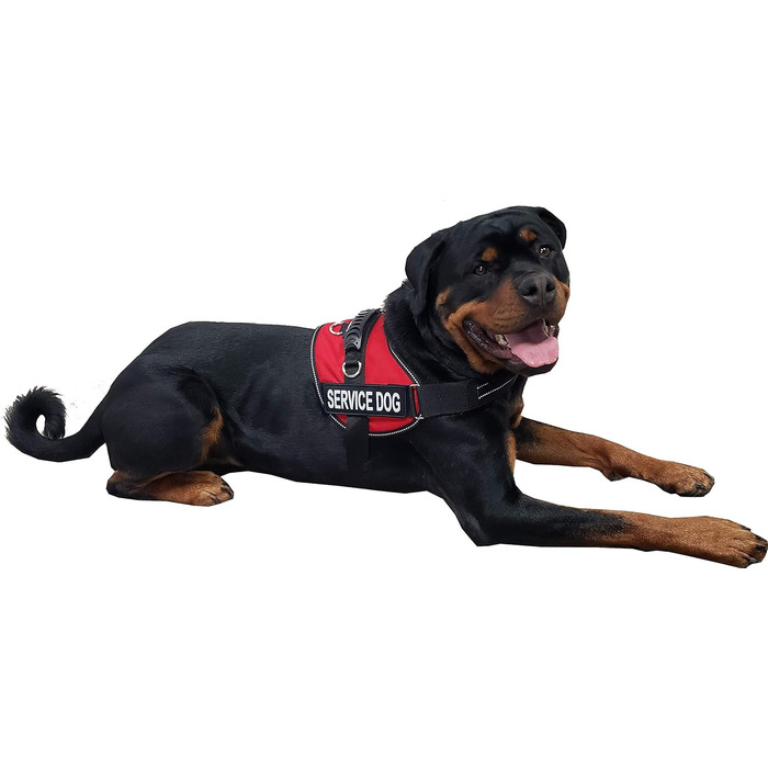 Шлея для собак ActiveDogs Air-Tech XL, Cordura, червона, з ручкою, ADA-картками та світловідбивними нашивками для сервісних собак (73,7-101,6 см)