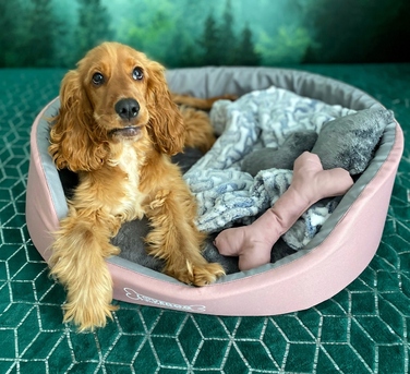 Вольєр для собак Lovedog, багатоколірний, 60 см x 50 см