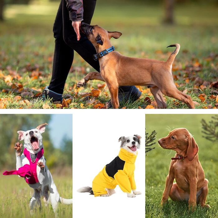 Зимовий теплий куртка для собак, водонепроникний, ізольований, комбінезон, для малих, середніх та великих собак, 2XL