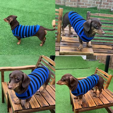 Теплий флісовий светр для собак Дакель, зимовий одяг (XS, гірчичний) XS - Об'єм грудей 37 см, смугастий синьо-чорний (M - Об'єм грудей 45 см)
