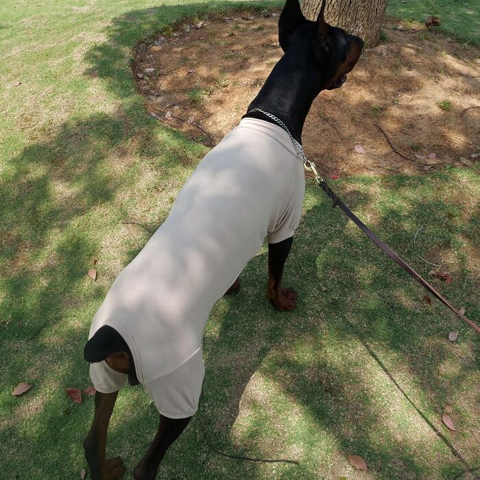 Піжама для собак Lovelonglong, бавовна, теплий боді для всіх сезонів, розмір L (3XL для великих собак), бежевий